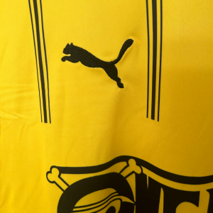 BORUSSIA DORTMUND x ONEPIECE 2025/26 (SPECIAL EDITION)